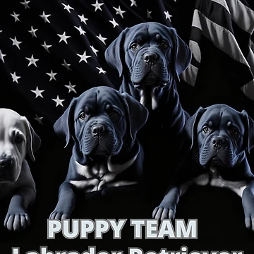 Artwork thumbnail, Labrador 2 by Rumaq-Store