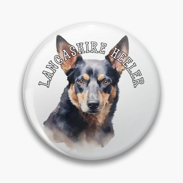 Item preview, lancashire heeler designed and sold by Tee Studio.