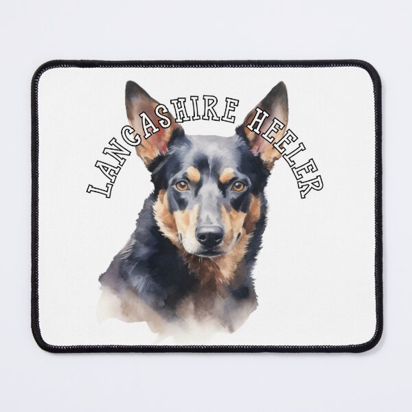 Artikelvorschau, lancashire heeler entworfen und verkauft von Tee Studio.