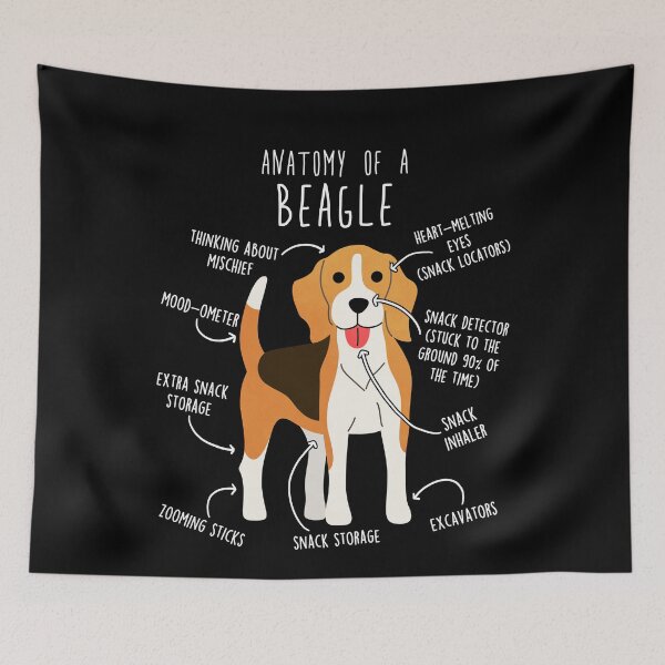 Item preview, Beagle Dog Anatomy designed and sold by Clara Hollins.