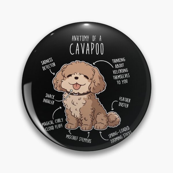 Item preview, Cavapoo Dog Anatomy designed and sold by Clara Hollins.