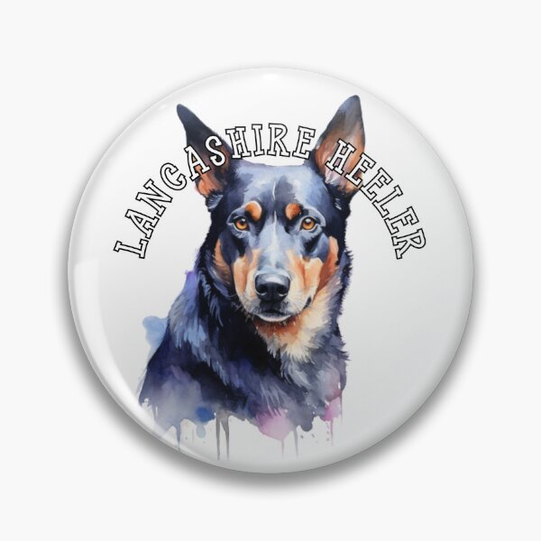 Item preview, lancashire heeler designed and sold by Tee Studio.