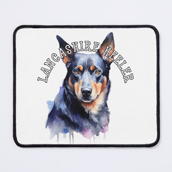 Item preview, lancashire heeler designed and sold by Tee Studio.