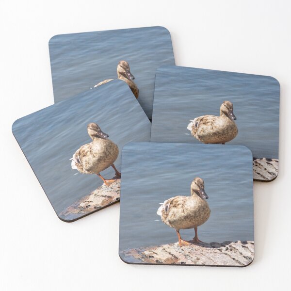Item preview, Bold Duck designed and sold by OnigiriSuiko.