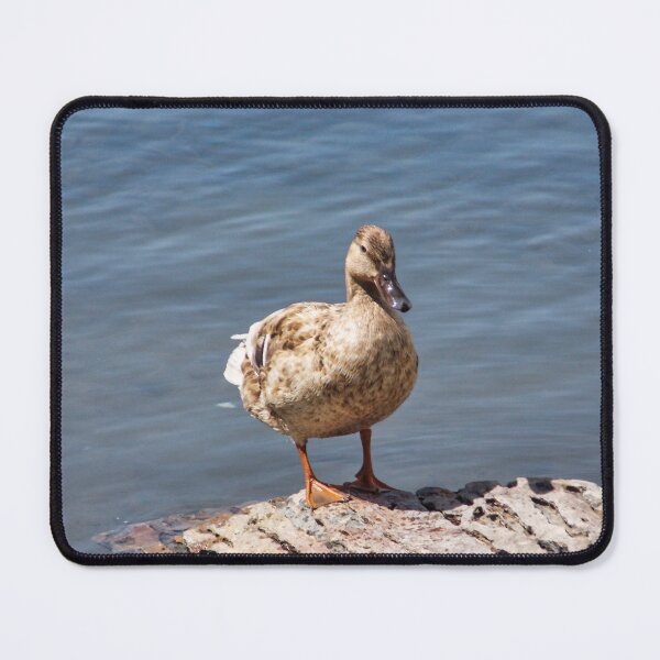 Item preview, Bold Duck designed and sold by OnigiriSuiko.
