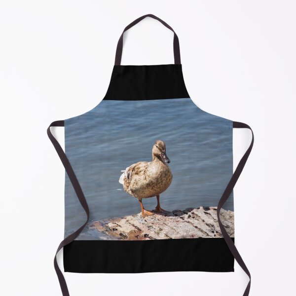 Item preview, Bold Duck designed and sold by OnigiriSuiko.