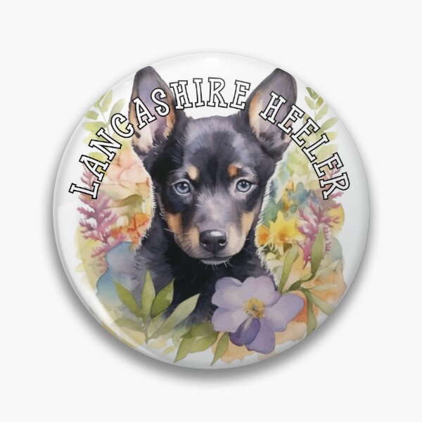 Item preview, lancashire heeler designed and sold by Tee Studio.