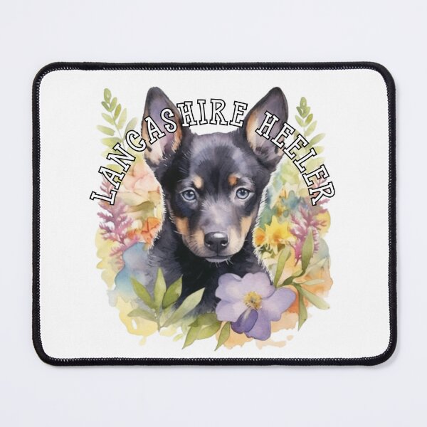 Item preview, lancashire heeler designed and sold by Tee Studio.