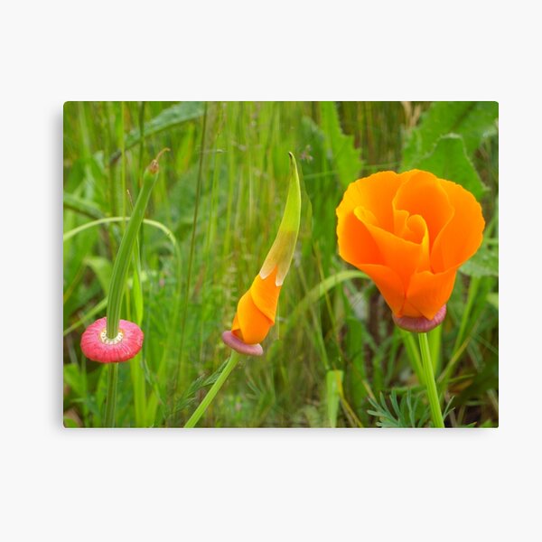 Item preview, Growing Up designed and sold by Graham Geldard.