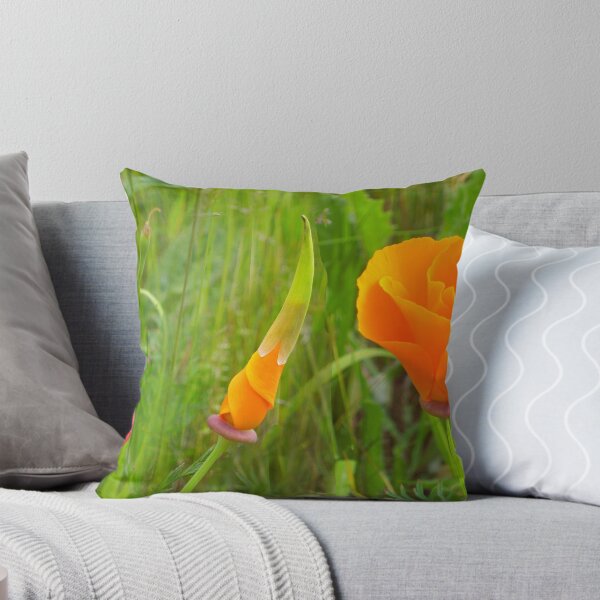 Item preview, Growing Up designed and sold by Graham Geldard Photography.