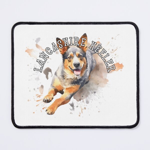 Item preview, lancashire heeler designed and sold by Tee Studio.