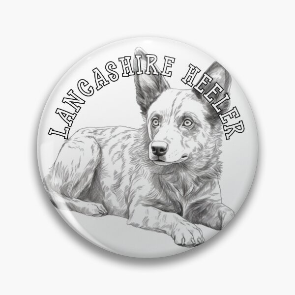 Item preview, lancashire heeler designed and sold by Tee Studio.
