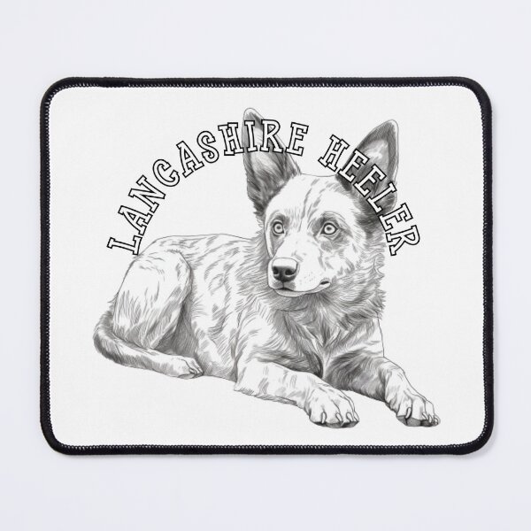 Item preview, lancashire heeler designed and sold by Tee Studio.