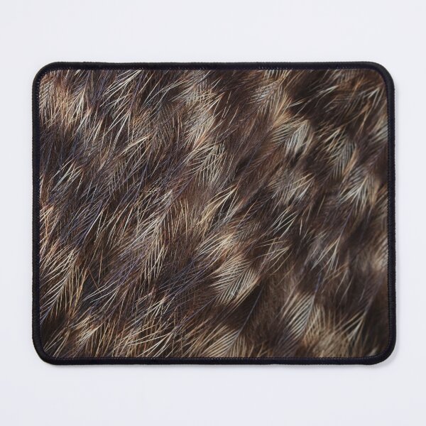 Item preview, Great Spotted Kiwi Feathers designed and sold by chocolatemouse.