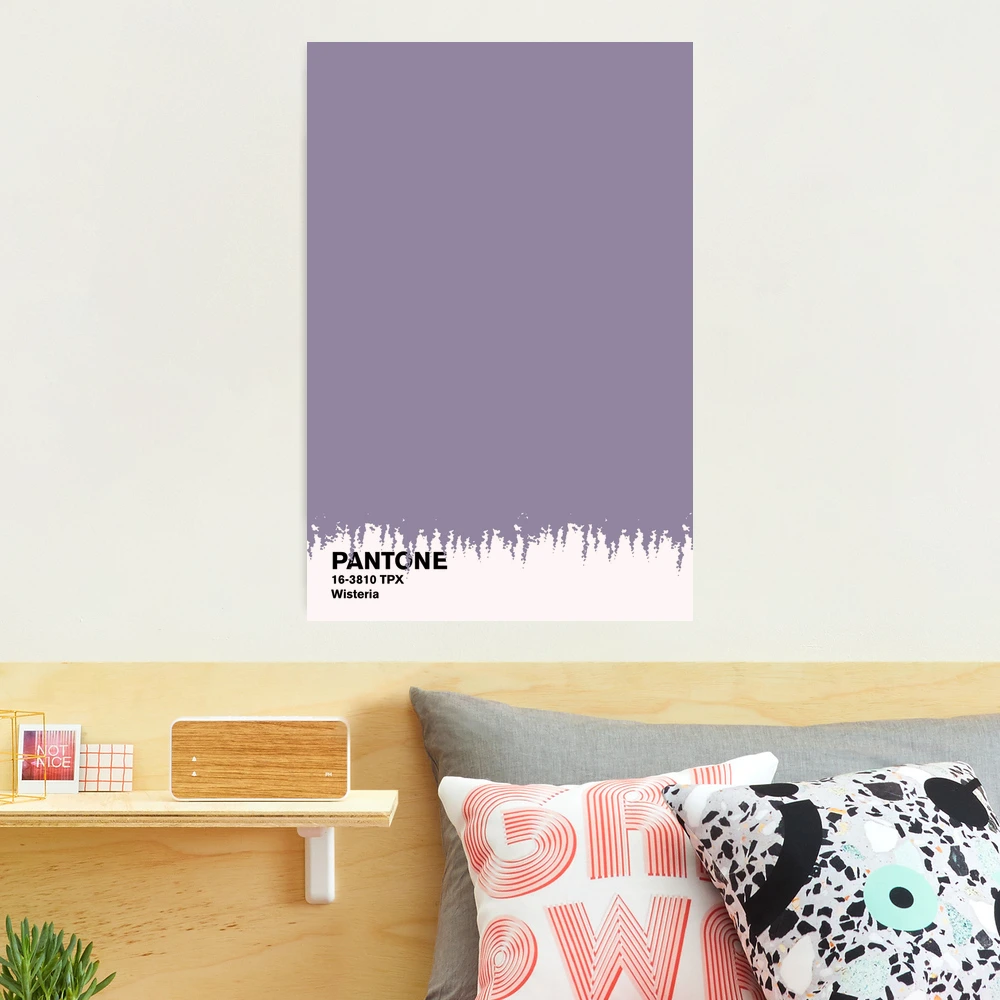 Wisteria Pantone | Photographic Print