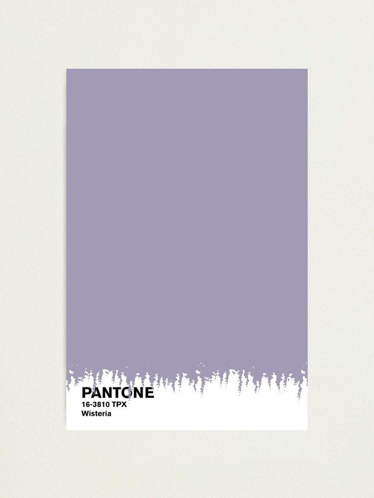 Wisteria Pantone | Photographic Print