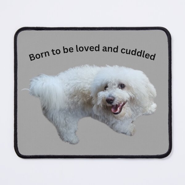 Item preview, Born to be loved and cuddled.  Bichon Frise  designed and sold by Debsgiftware Ward.