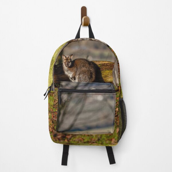 Item preview, Wallabys Just chilling in the afternoon sun designed and sold by Dalyndigital Photography.