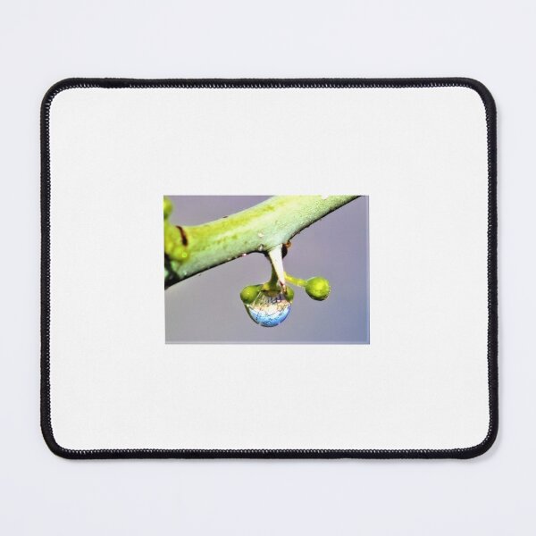 Item preview, "World in a Bubble"  designed and sold by Raz Telchai.