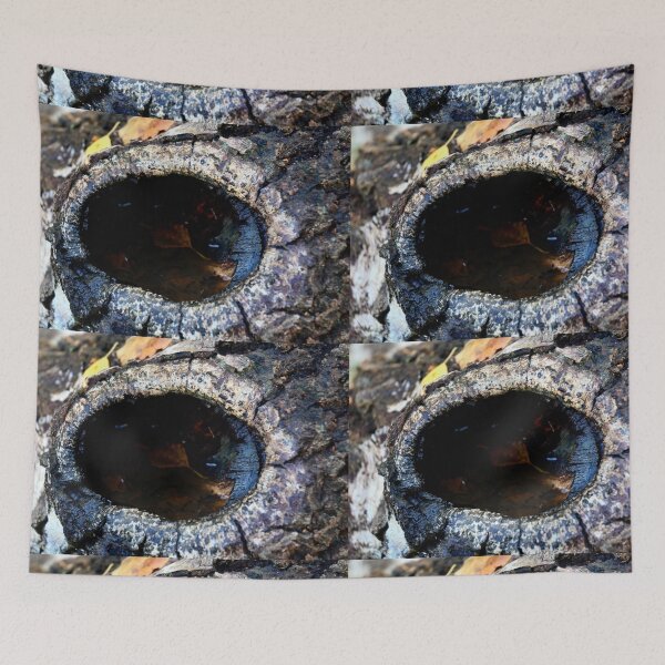 Item preview, "Eye of the Crocodile" designed and sold by Billlee.