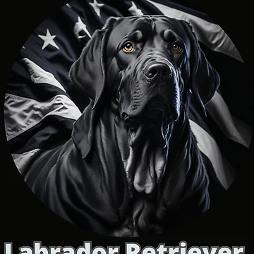 Artwork thumbnail, Labrador 4a by Rumaq-Store