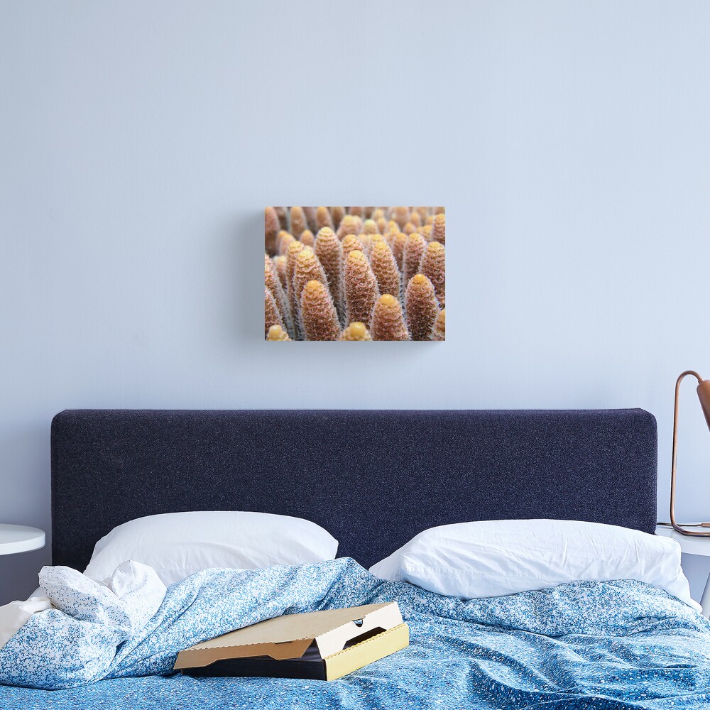 Towers Canvas Print