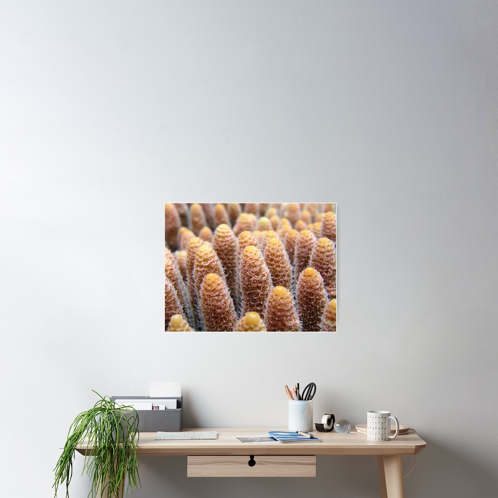 Towers Poster