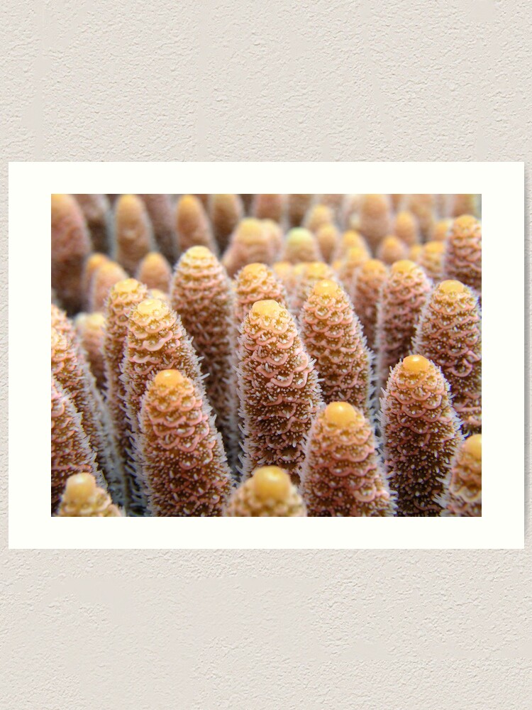 Alternate view of Towers Art Print