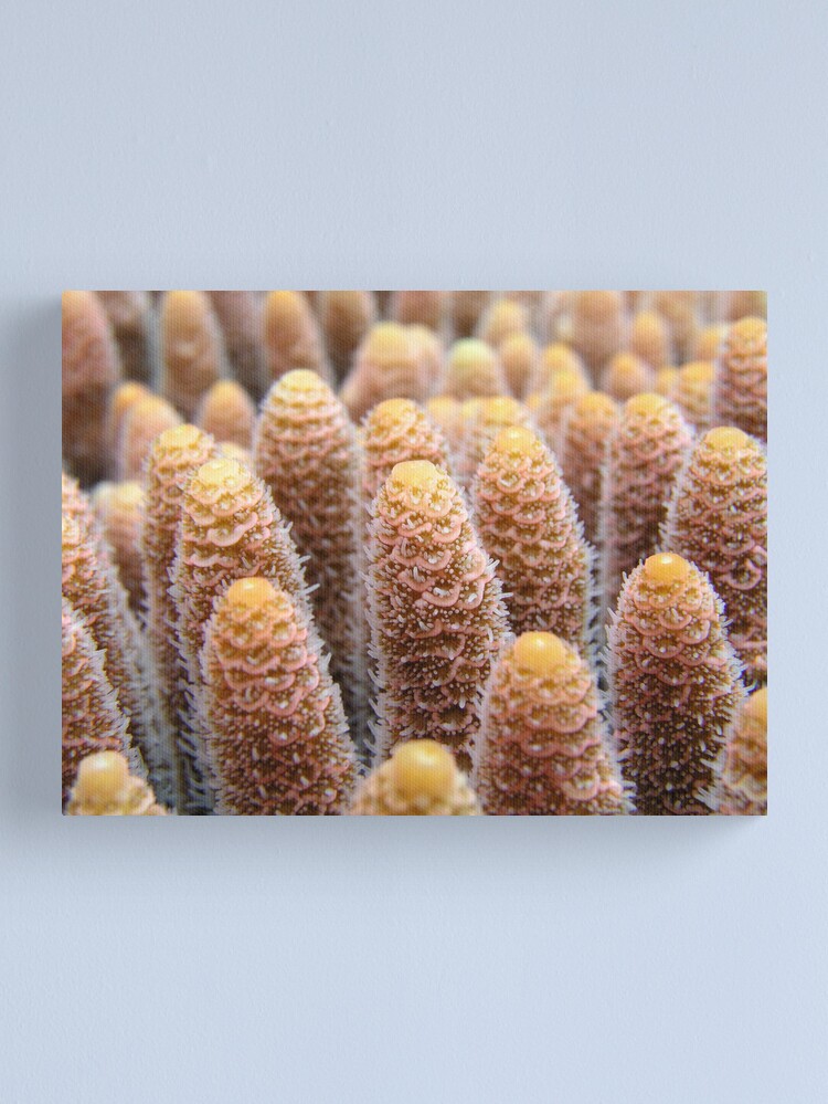 Alternate view of Towers Canvas Print