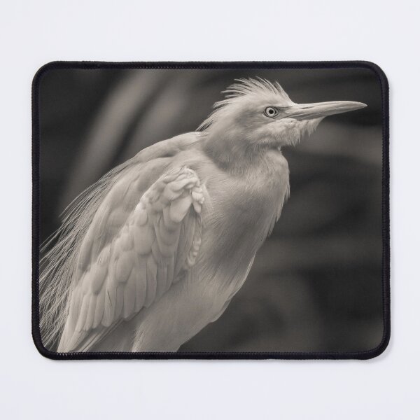 Item preview, Cattle Egret designed and sold by David Bowman.