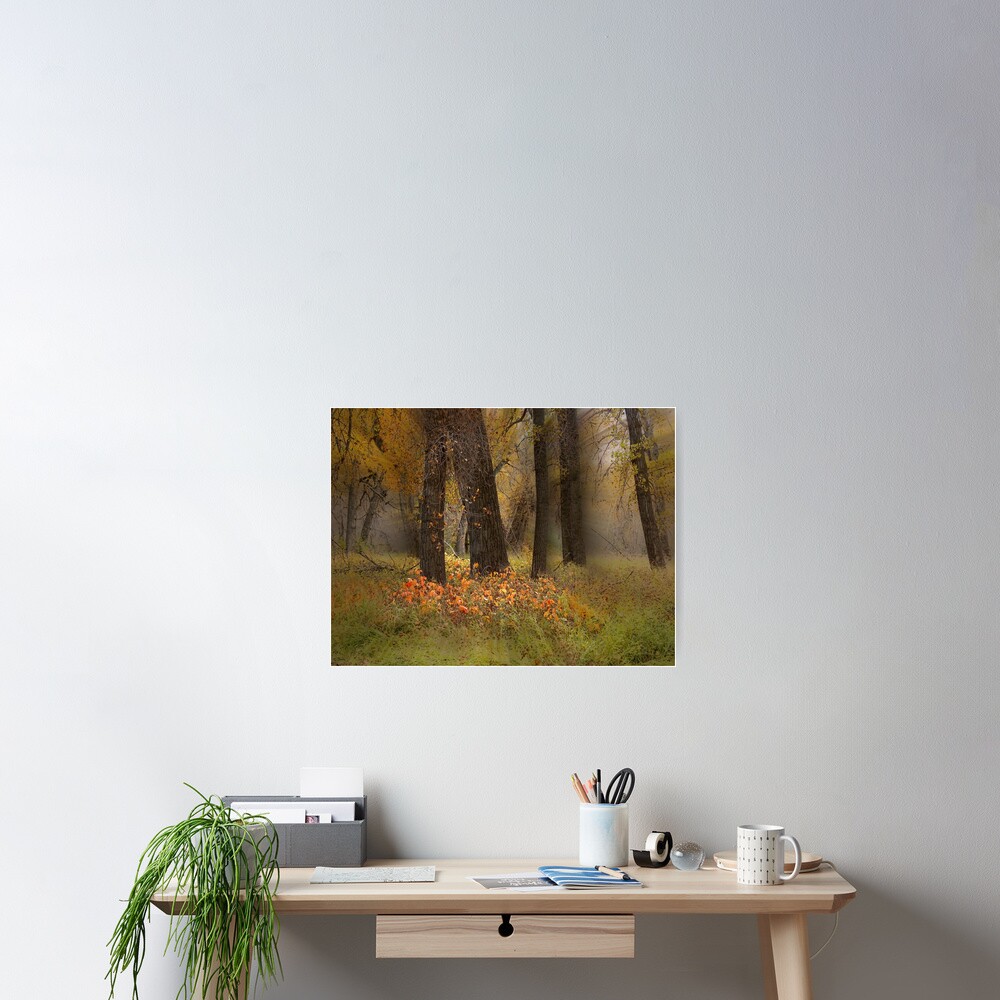 Item preview, Poster designed and sold by phh3.