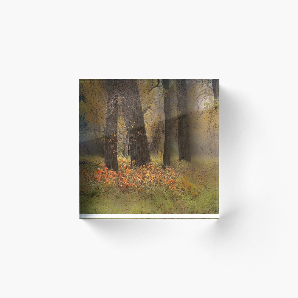 Item preview, Acrylic Block designed and sold by phh3.