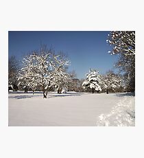 Another Narnia Photographic Print