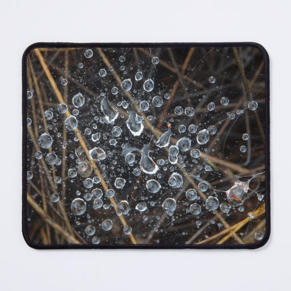 Item preview, Raindrops, web & Spinifex designed and sold by Travis Easton.