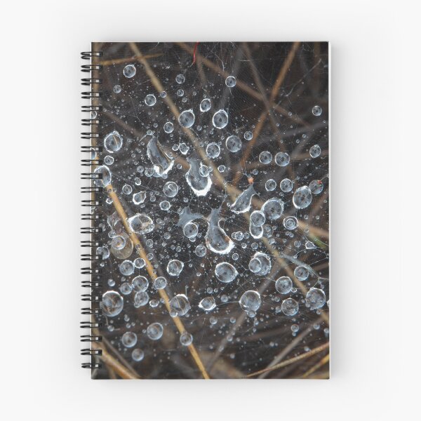 Item preview, Raindrops, web & Spinifex designed and sold by Travis Easton.