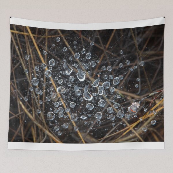 Item preview, Raindrops, web & Spinifex designed and sold by Travis Easton.