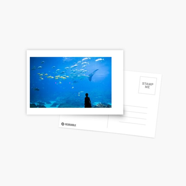 New England Aquarium Postcard
