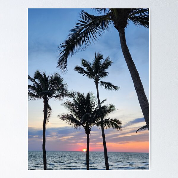 Palm Trees & Sunset Poster