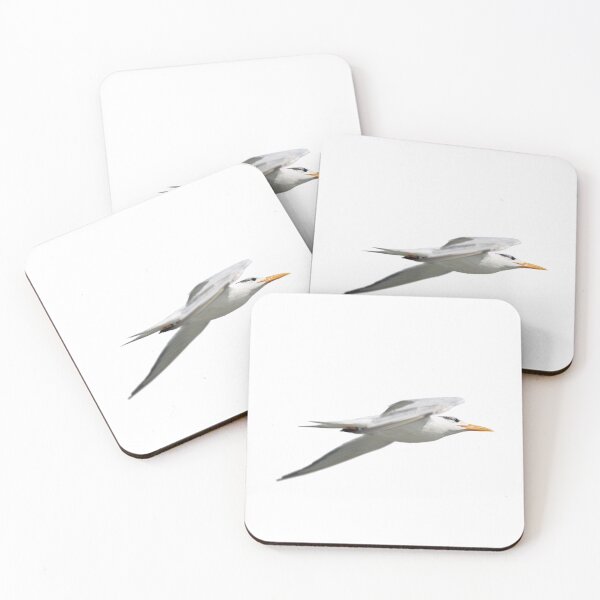 Item preview, Your Tern - Wild Birds Photography designed and sold by SavvySeller.