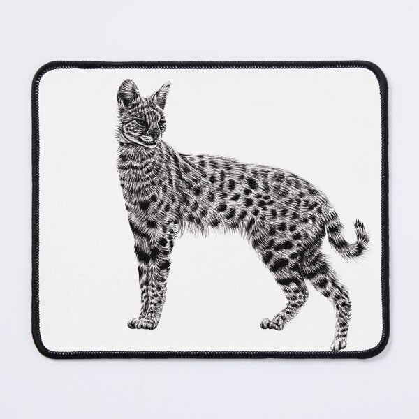 Item preview, Serval illustration designed and sold by LorenDowding.