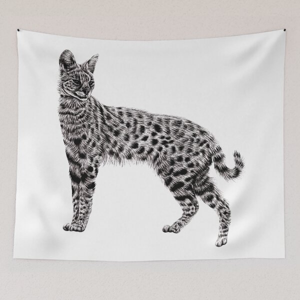 Item preview, Serval illustration designed and sold by LorenDowding.