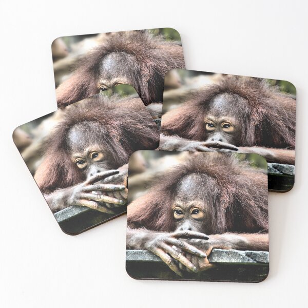 Item preview, Orangutan designed and sold by Carole-Anne.