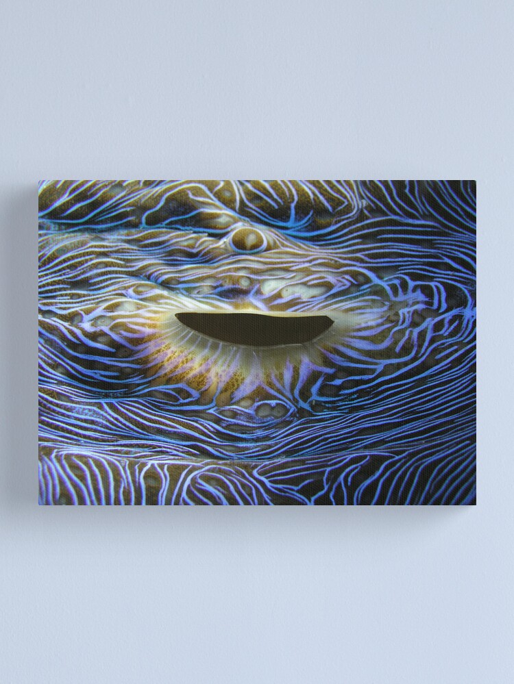Alternate view of Blue Flame Canvas Print