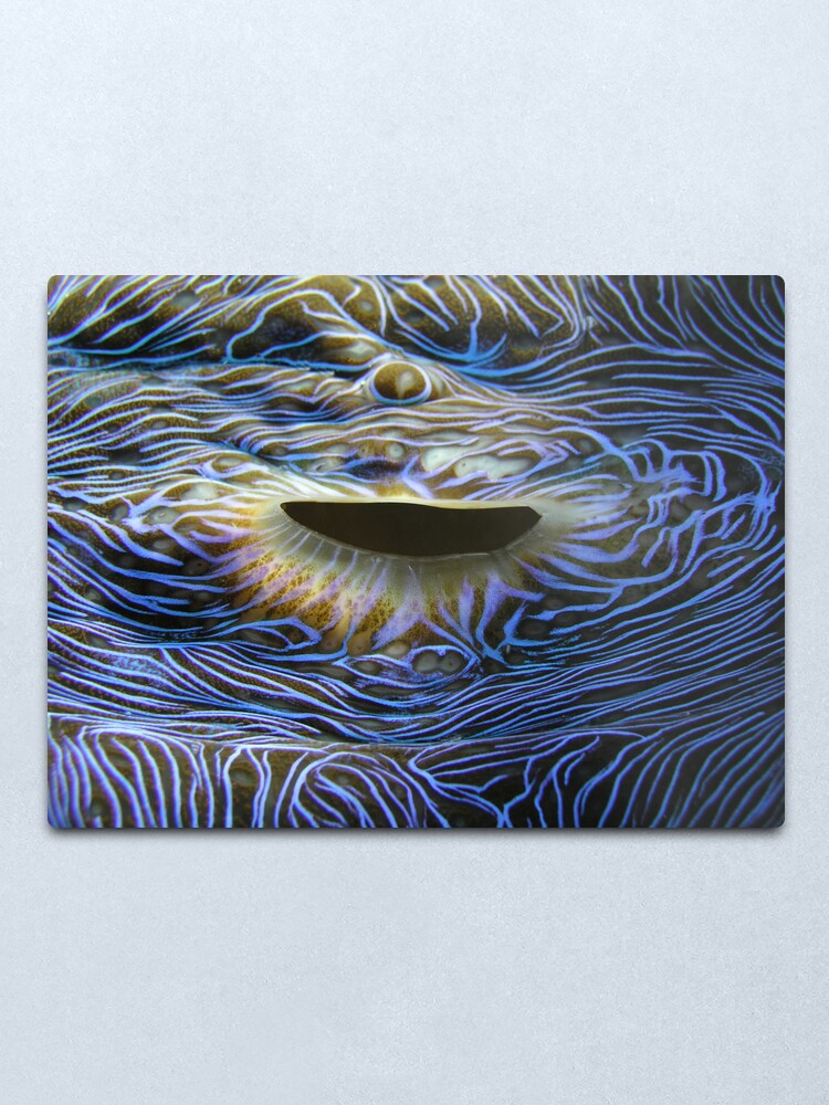 Alternate view of Blue Flame Metal Print