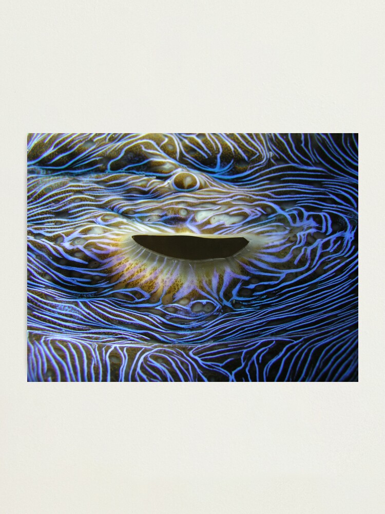 Alternate view of Blue Flame Photographic Print