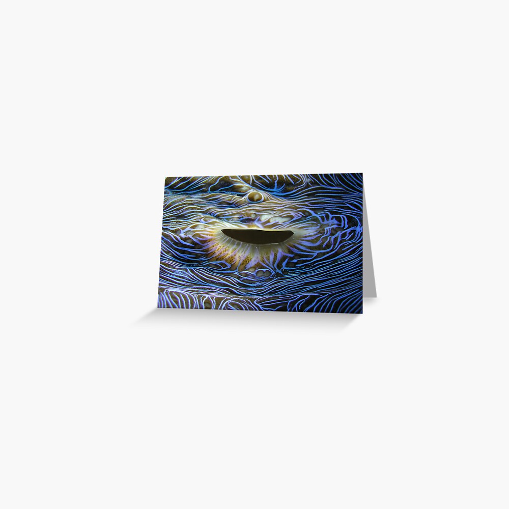 Blue Flame Greeting Card