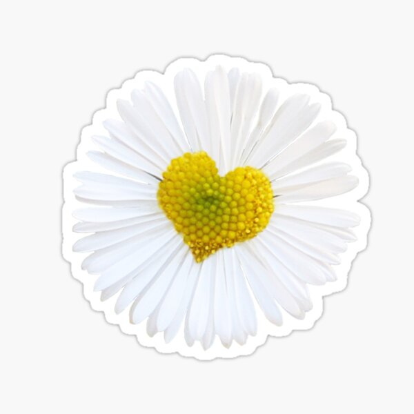 Daisy Love Sticker