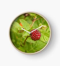 Salmonberry Photography Print Clock