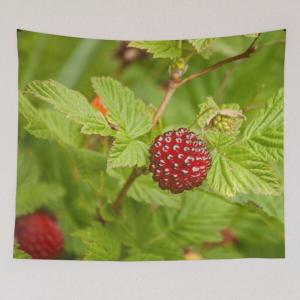 Item preview, Salmonberry Photography Print designed and sold by griffingphoto.