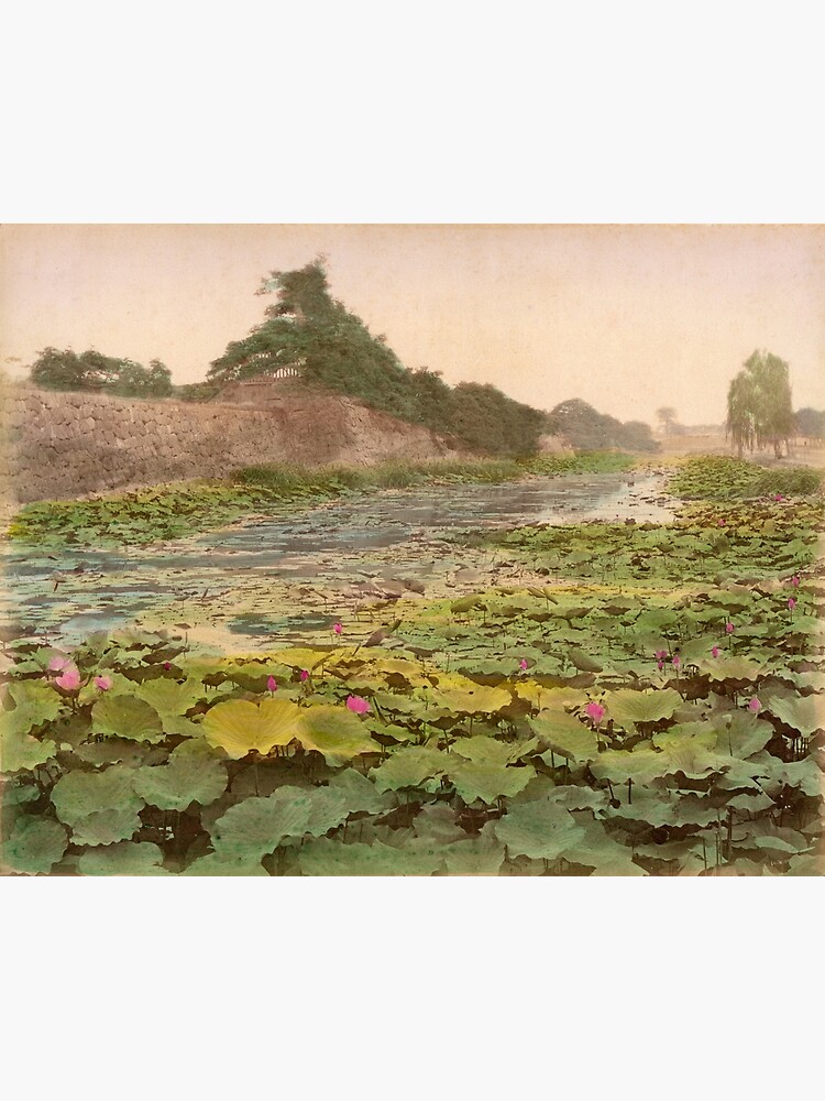 View of Tokyo Castle by Fletchsan
